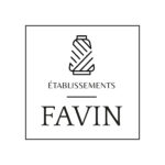 Logo-Favin-compressed