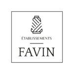 Logo-Favin-compressed